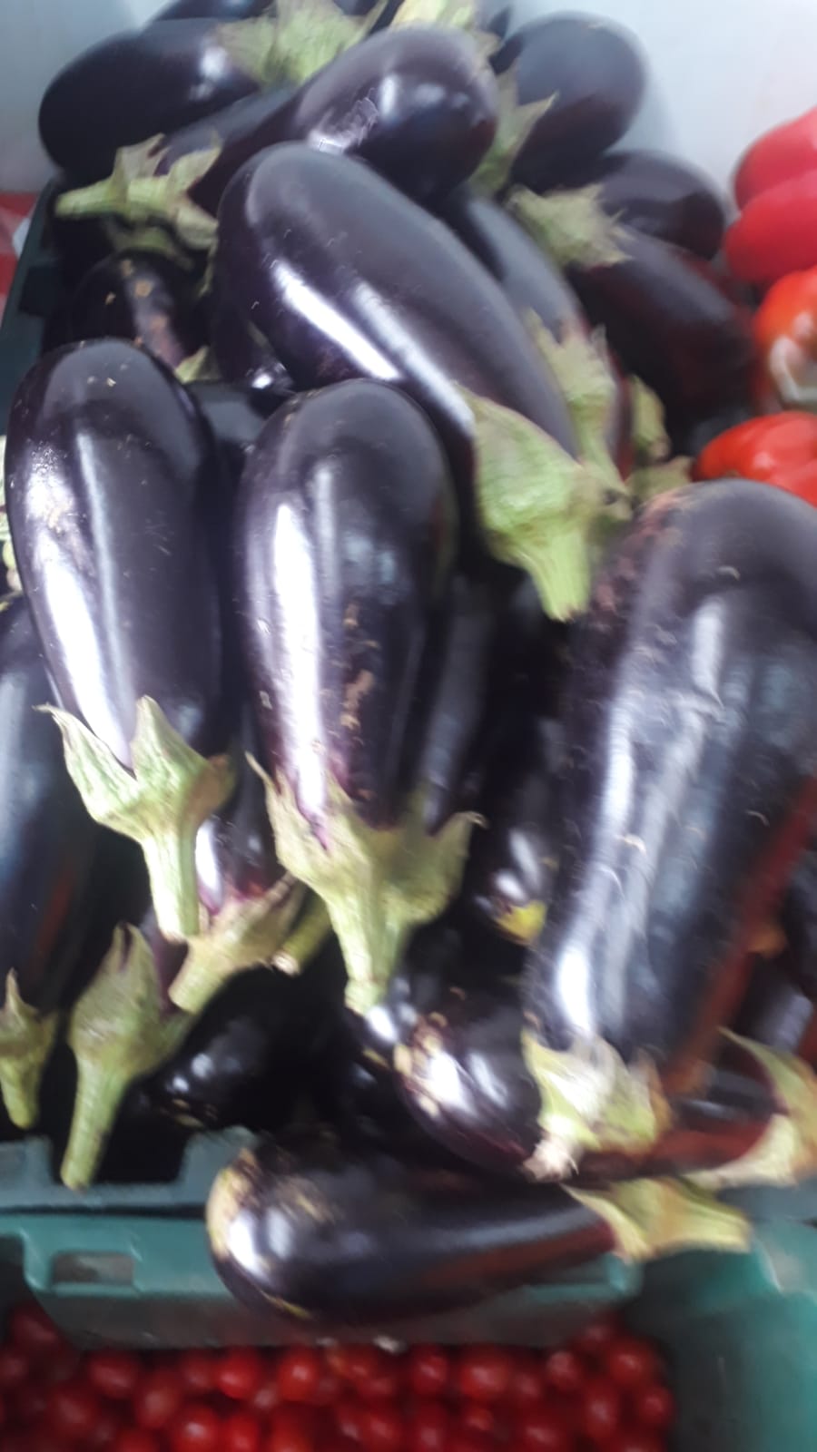 Berinjela rajada ~450g (tem 5+4un) ag.reposição